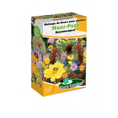 Samen Mischung Bienen Maxi-Pack 100 m2